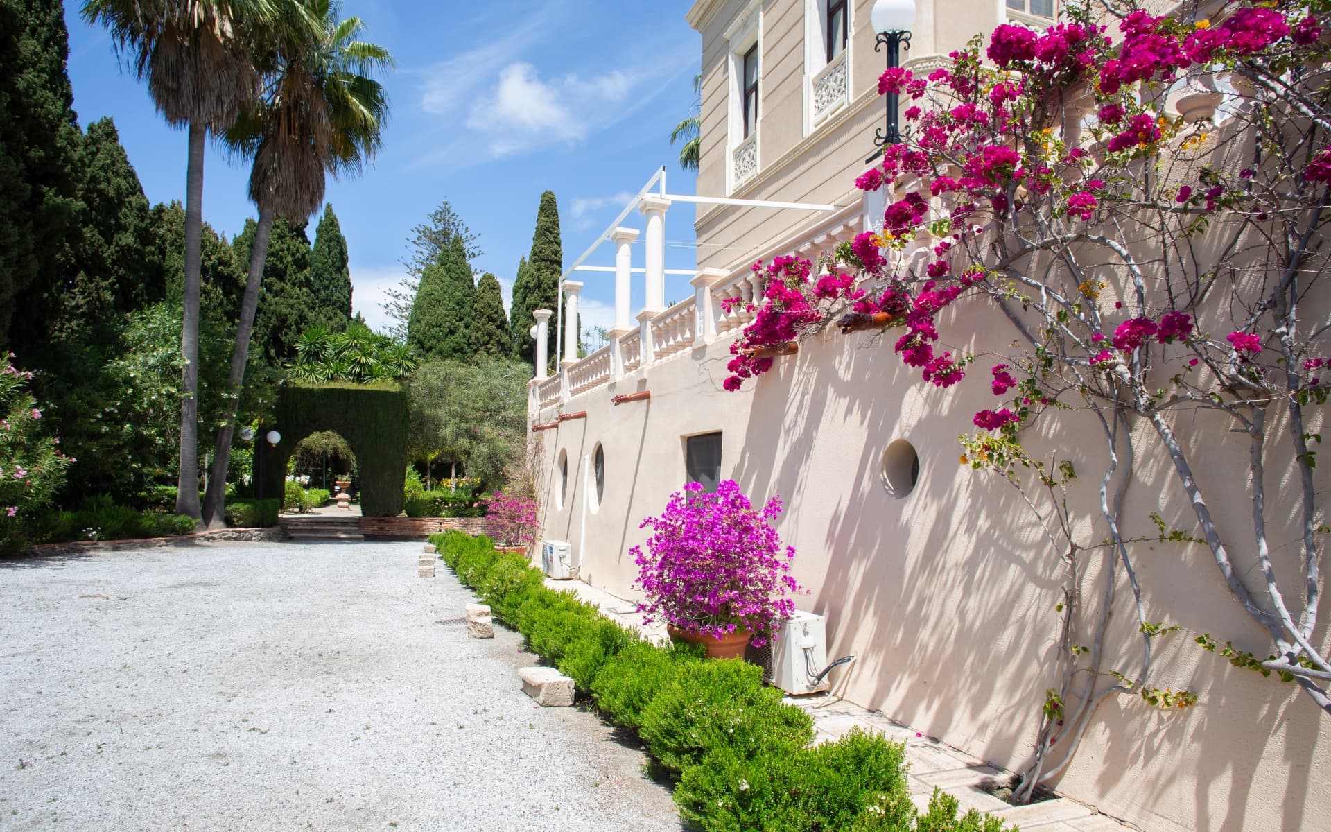 Jardín botánico siglo XVIII